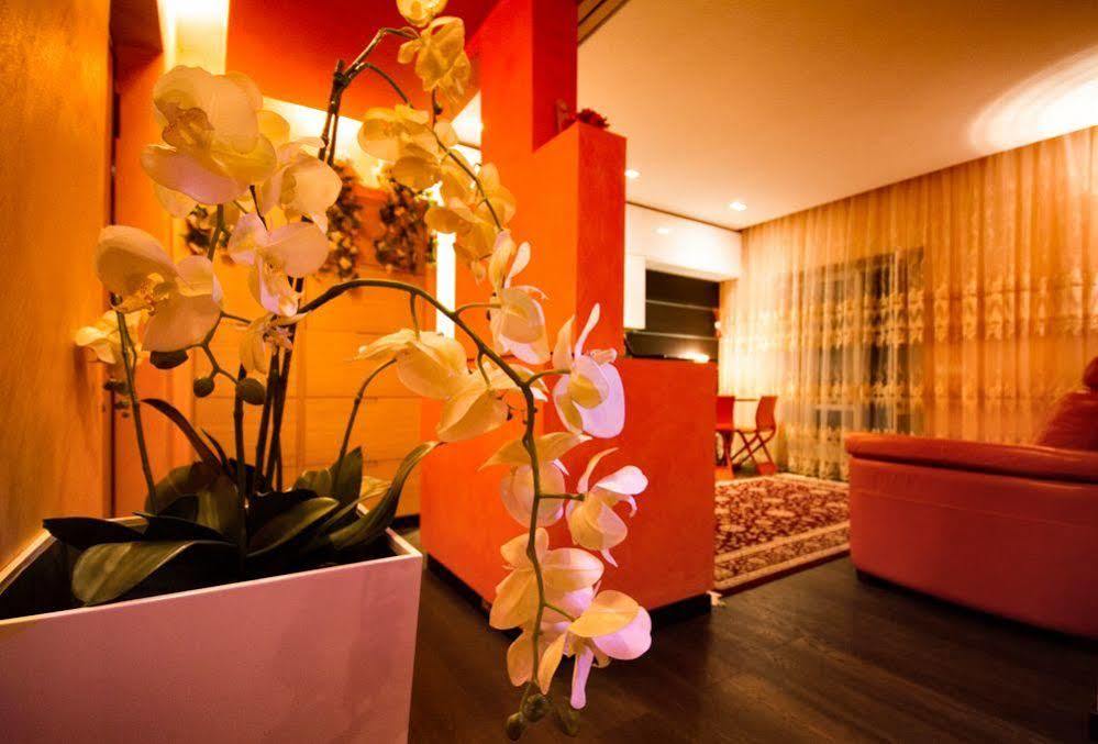 Holiday Magenta Rome